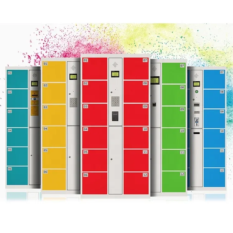Electronic Storage Lockers